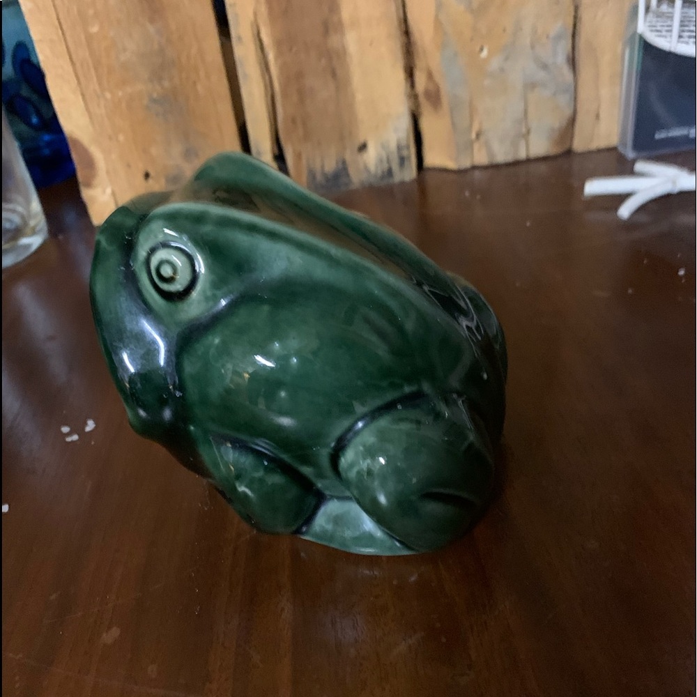 VTG frog scrubby holder